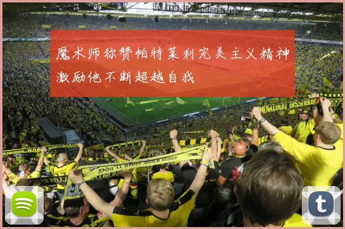 魔术师称赞帕特莱利完美主义精神激励他不断超越自我