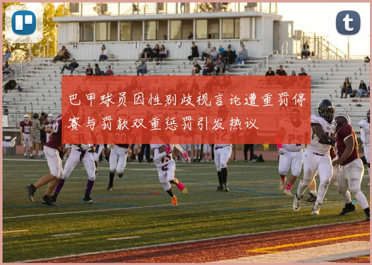 巴甲球员因性别歧视言论遭重罚停赛与罚款双重惩罚引发热议